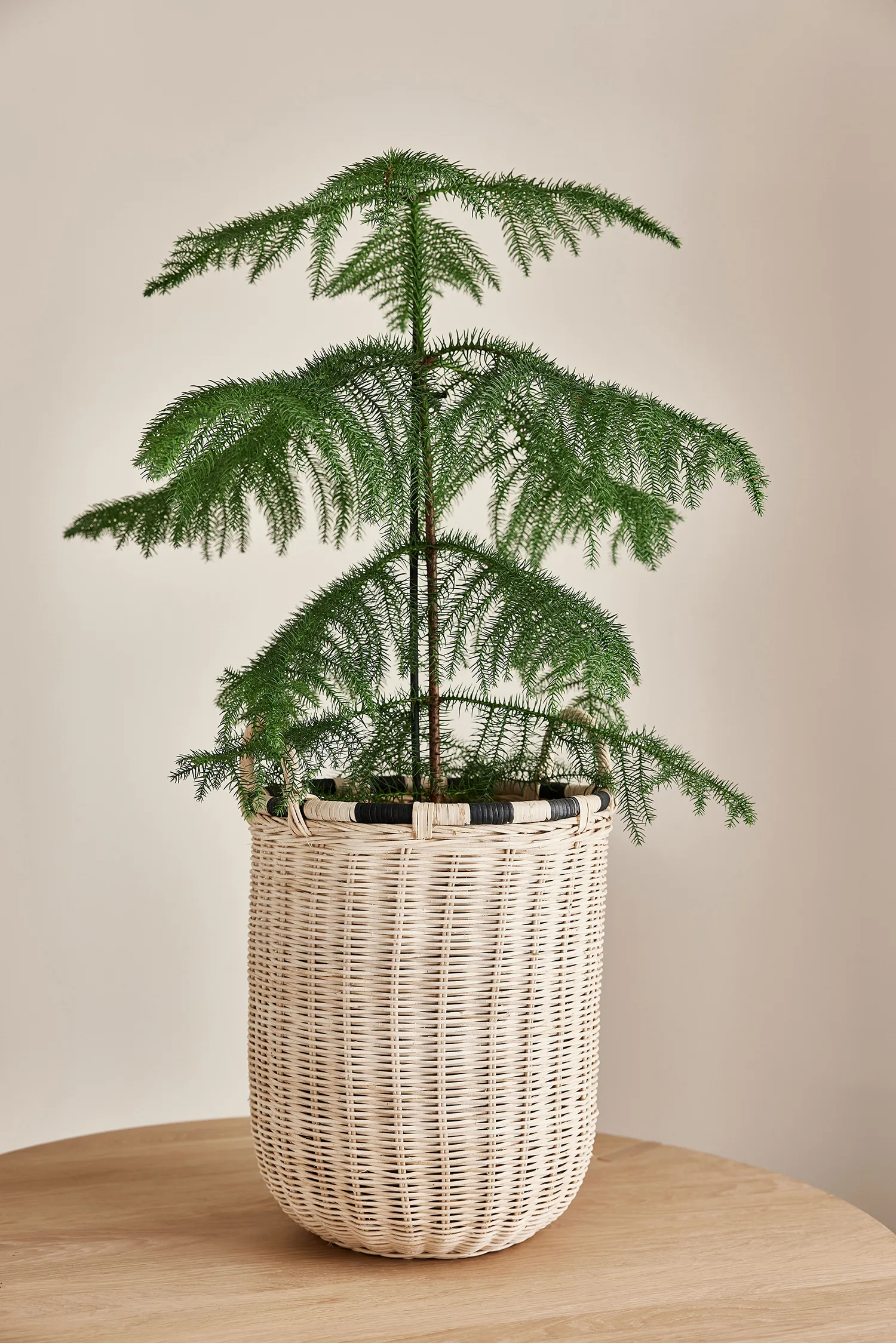 부 스토리지 박스, small 46 cm OYOY | 오이오이