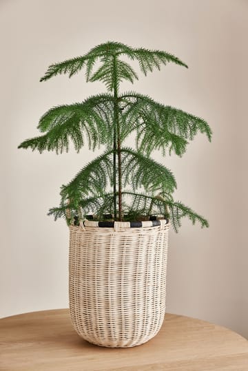 부 스토리지 박스 - small 46 cm - OYOY | 오이오이