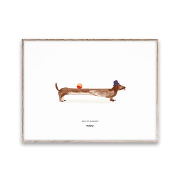 Doug the Dachshund 포스터 - 30x40 cm - Paper Collective | 페이퍼콜렉티브