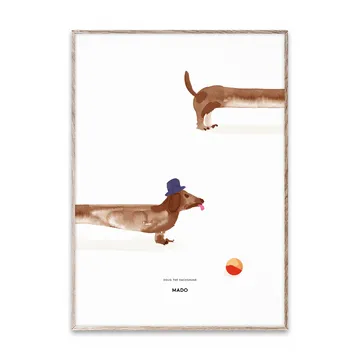 Doug the Dachshund 포스터 - 50x70 cm - Paper Collective | 페이퍼콜렉티브