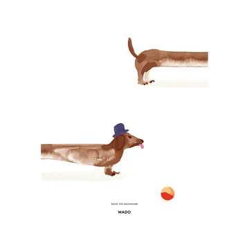 Doug the Dachshund 포스터 - 50x70 cm - Paper Collective | 페이퍼콜렉티브