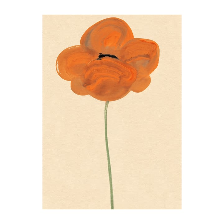 Orange Vallmo 포스터 - 30x40 cm - Paper Collective | 페이퍼콜렉티브
