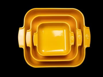 아폴리아 세라믹 접시 40x27 cm - Saffron yellow - Peugeot | 푸조