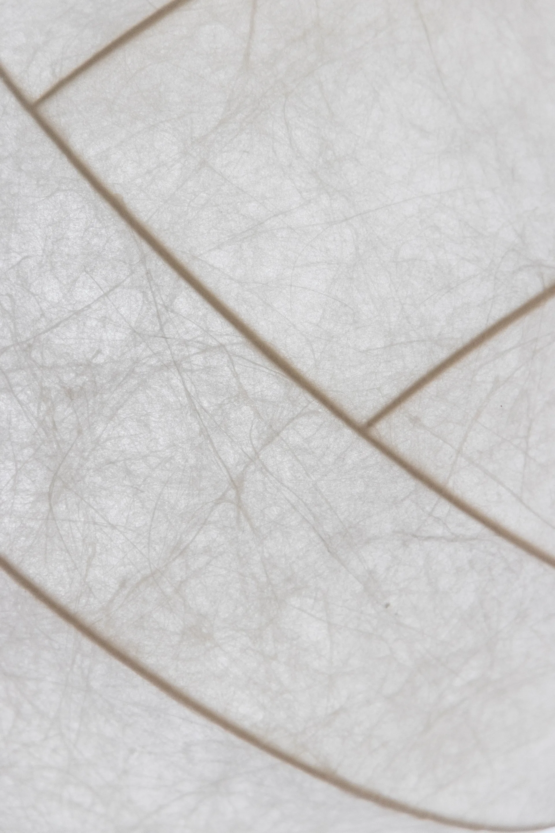 터너 80 펜던트 조명, White Pholc | 폴크