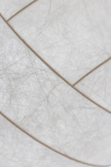 터너 80 펜던트 조명 - White - Pholc | 폴크