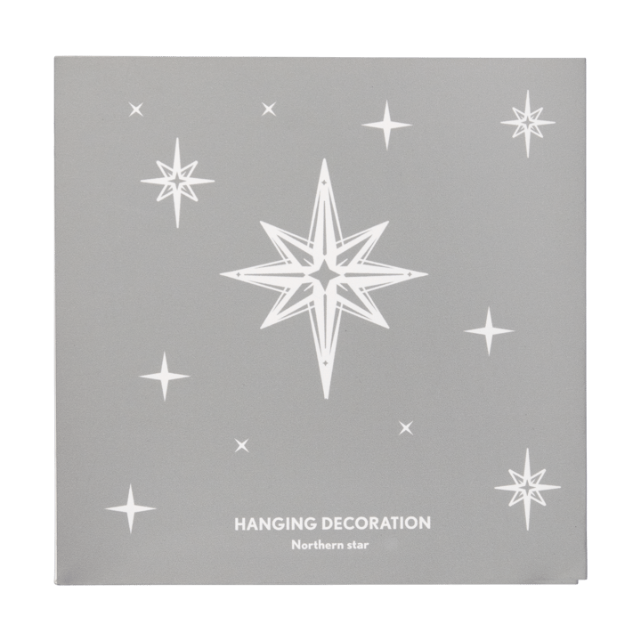 노던 스타 L 크리스마스 오너먼트, Silver Pluto Design | 플루토