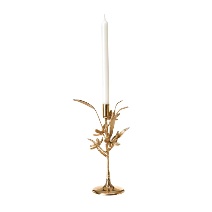 베르가못 캔들스틱 31 cm, Gold POLSPOTTEN | 폴스포텐