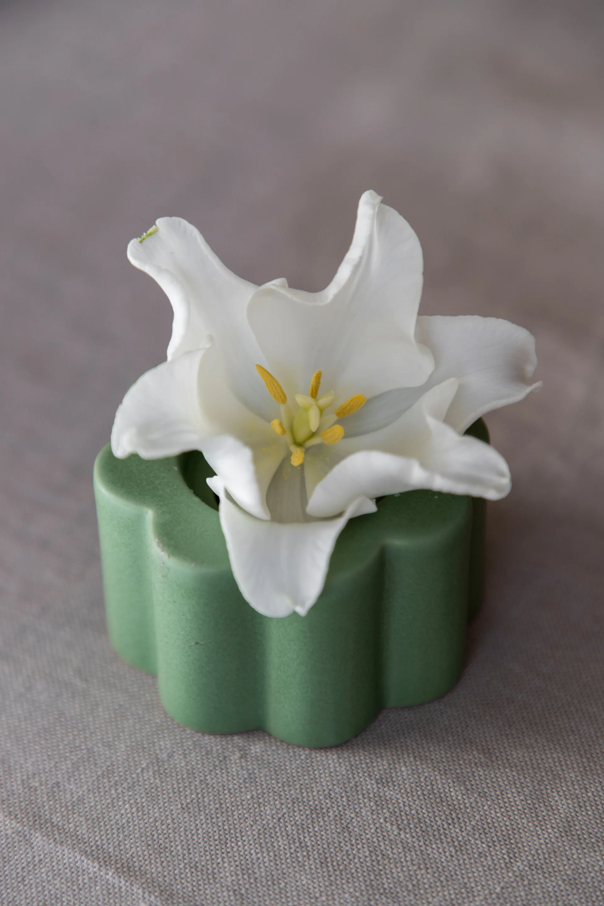 버짓 화병/캔들스틱 5 cm, Olive PotteryJo | 포터리조