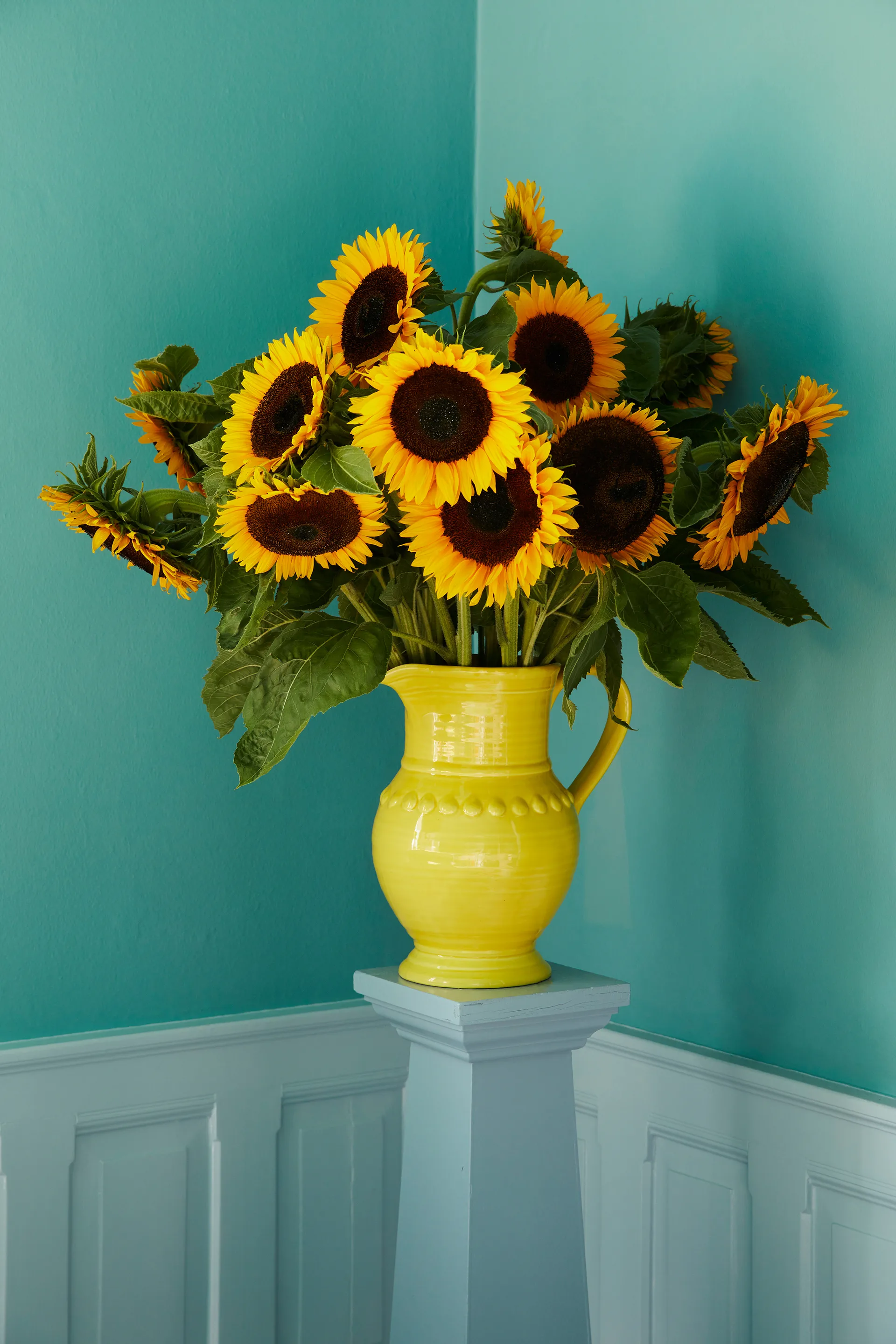 라이스 세라믹 팟 7.9 리터, Yellow RICE | 라이스