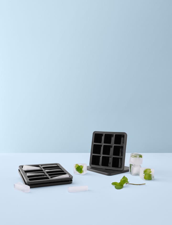 프리즈-잇 아이스 큐브 트레이 뚜껑 포함, 5x19x19 cm RIG-TIG | 릭틱