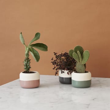 Plant-It herb pot 플랜트 잇 허브 화분 - dusty green - RIG-TIG | 릭틱