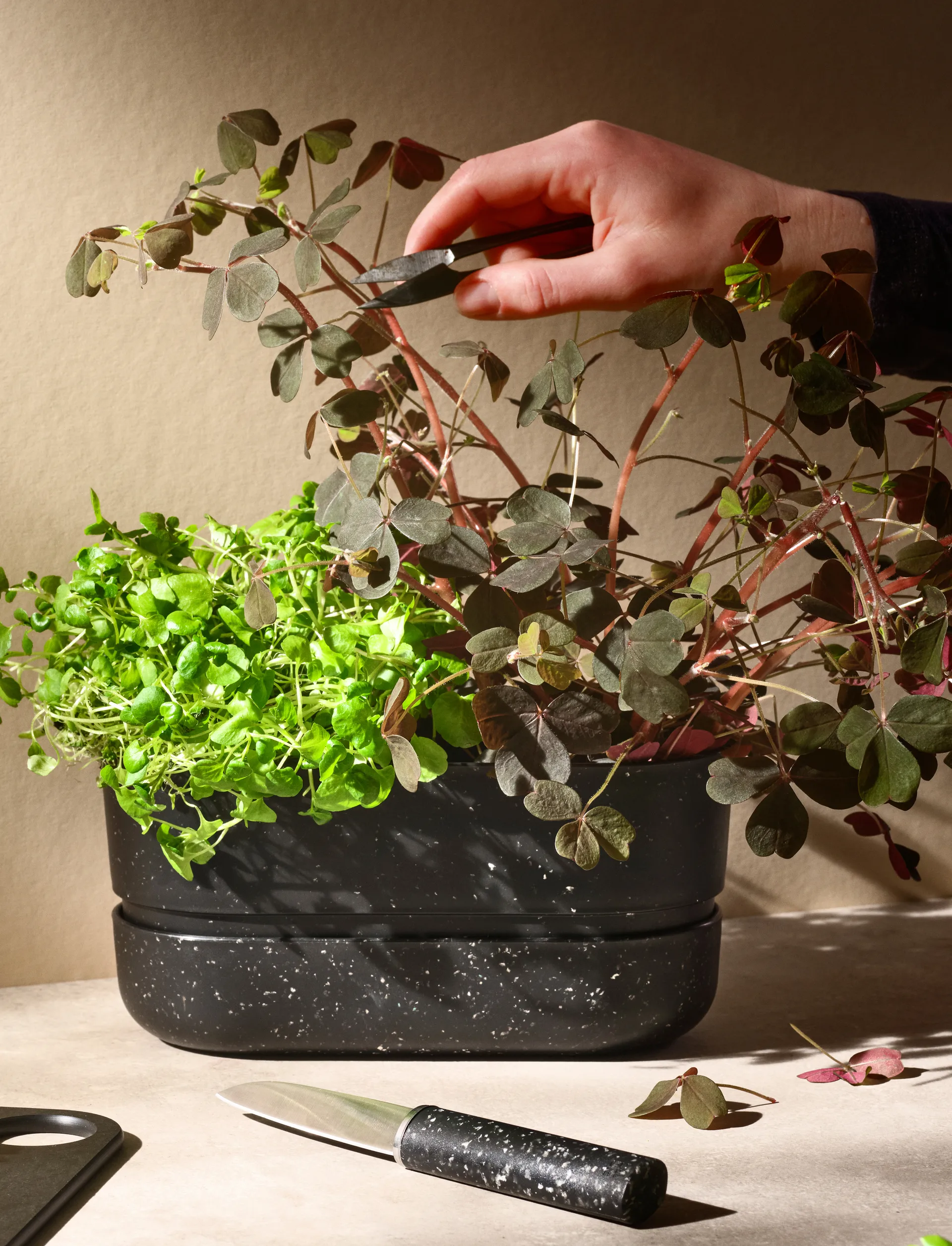 POT-IT 허브 팟 22.2 cm, Black RIG-TIG | 릭틱