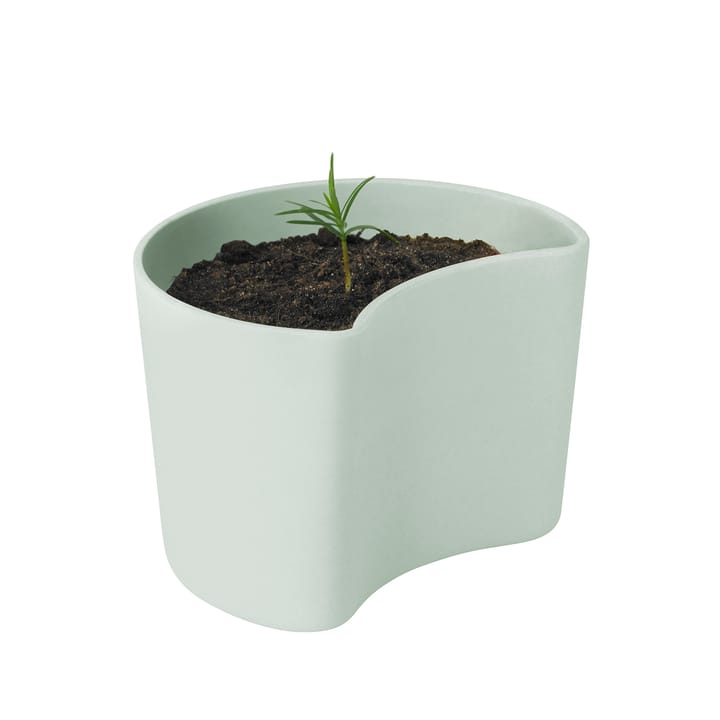 YOUR 트리 pot & seeds - Green (Pine) - RIG-TIG | 릭틱