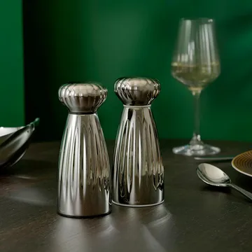팜 브라이트 소금, 후추 그라인더 2개 세트 - Small-stainless steel, with tray - Robert Welch | 로버트웰치