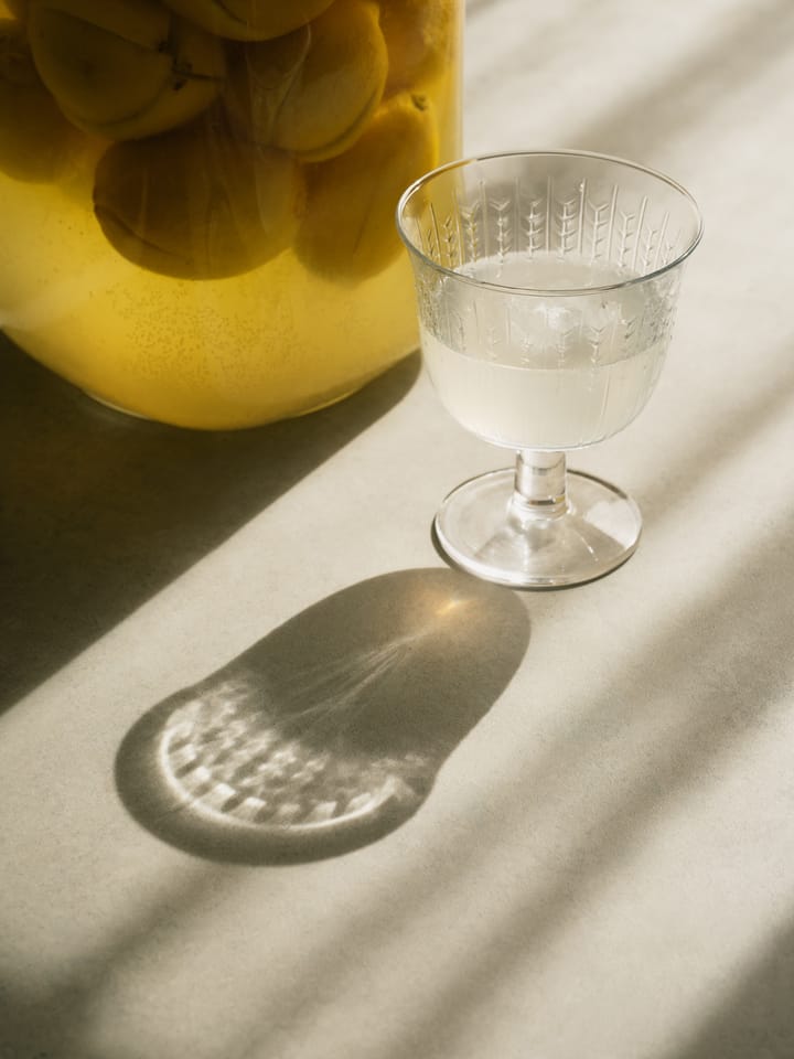 스웨디시 그레이스 스템 글라스 25 cl 2개 세트, Clear Rörstrand | 로스트란드
