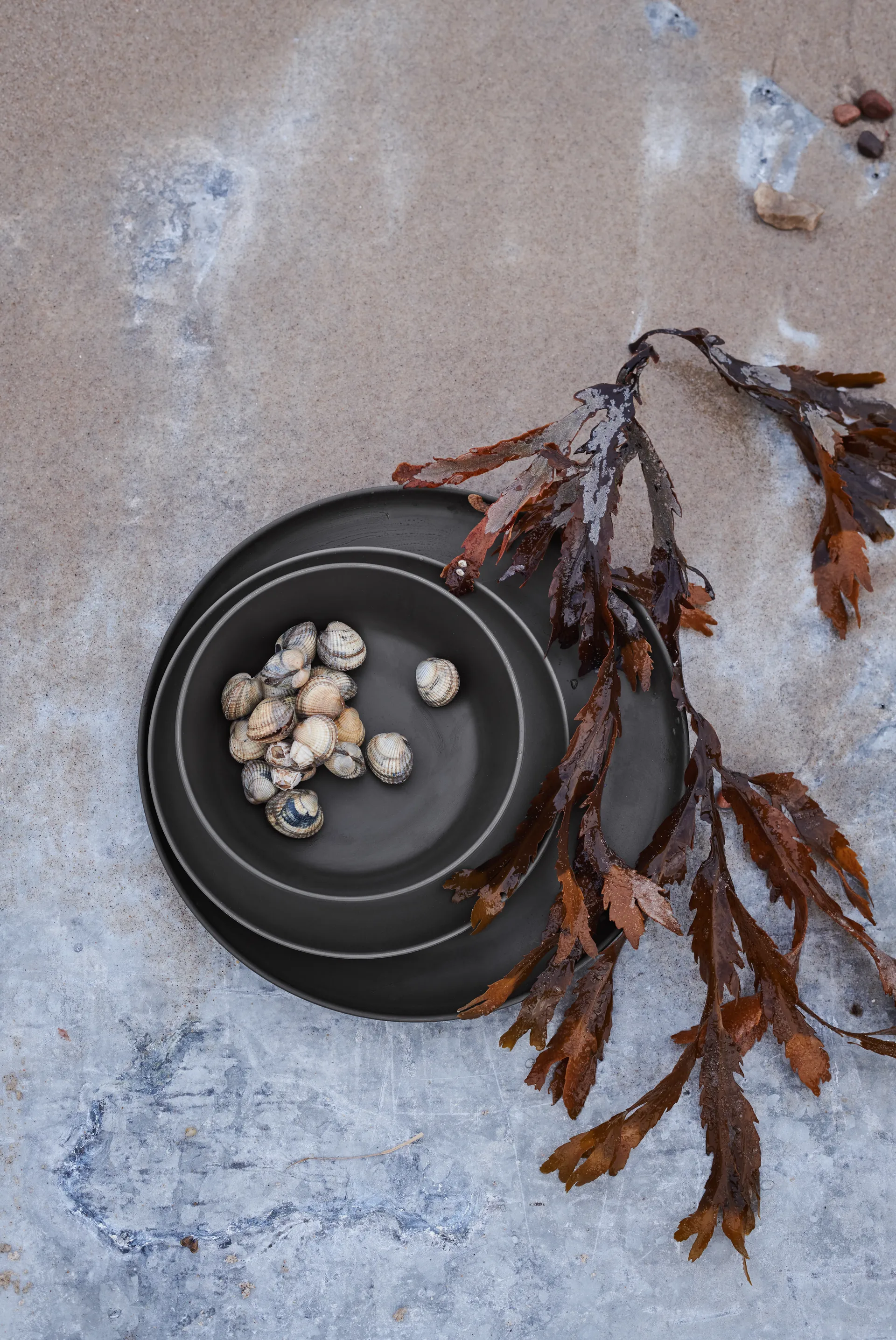 그랑크뤼 테이크 스몰 접시 Ø19.5 cm 2개 세트, grey Rosendahl | 로젠달 코펜하겐