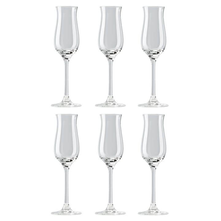 디비노 그라빠 잔 10 cl 6개 세트 - clear - Rosenthal | 로젠탈