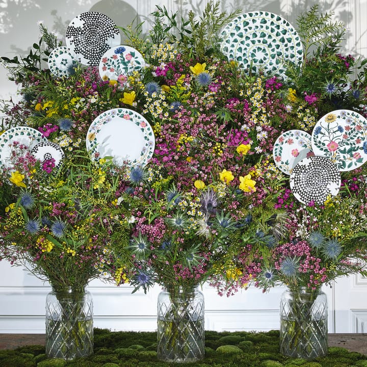 매직 가든 폴리아주 접시 21 cm, white-green Rosenthal | 로젠탈