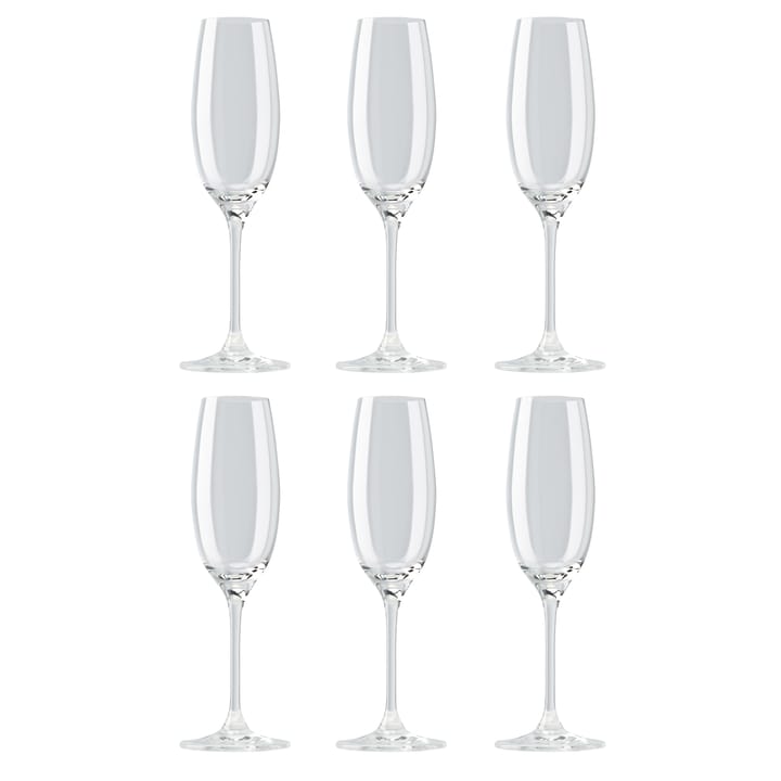 디비노 샴페인잔 22 cl 6개 세트, clear Rosenthal | 로젠탈