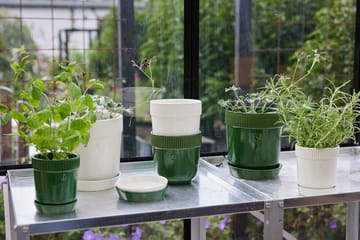 엘리스 허브 화분 11 cm - Green - Sagaform | 사가폼