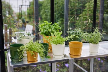 엘리스 허브 화분 11 cm - Green - Sagaform | 사가폼