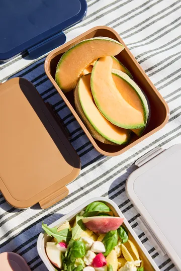 티나 런치 박스 1.1 L - Fudge - Sagaform | 사가폼