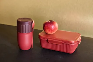 Ted 보온 요구르트 머그 스푼 포함 - Wine red Pantone 7624C, 32 cl - Sagaform | 사가폼