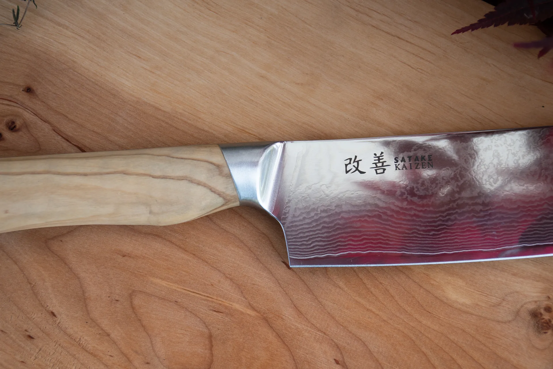 Saceilinge 카이젠 Gyuto 나이프, 21 cm Satake | 사타케
