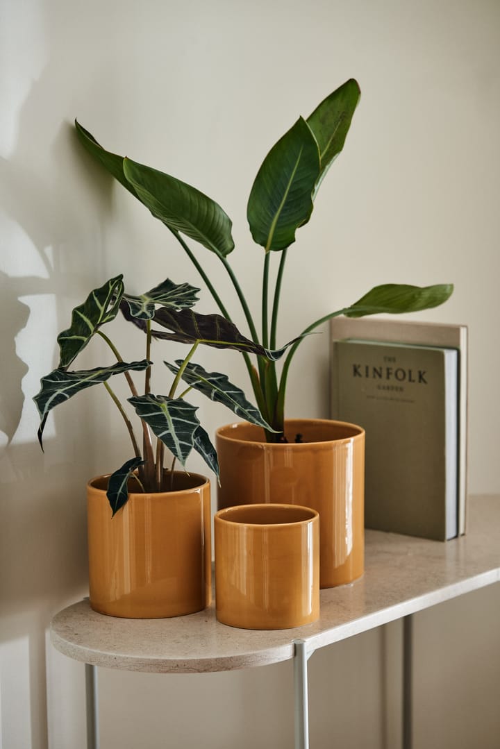 슬릭 화분 19 cm, Mustard Scandi Living | 스칸디리빙