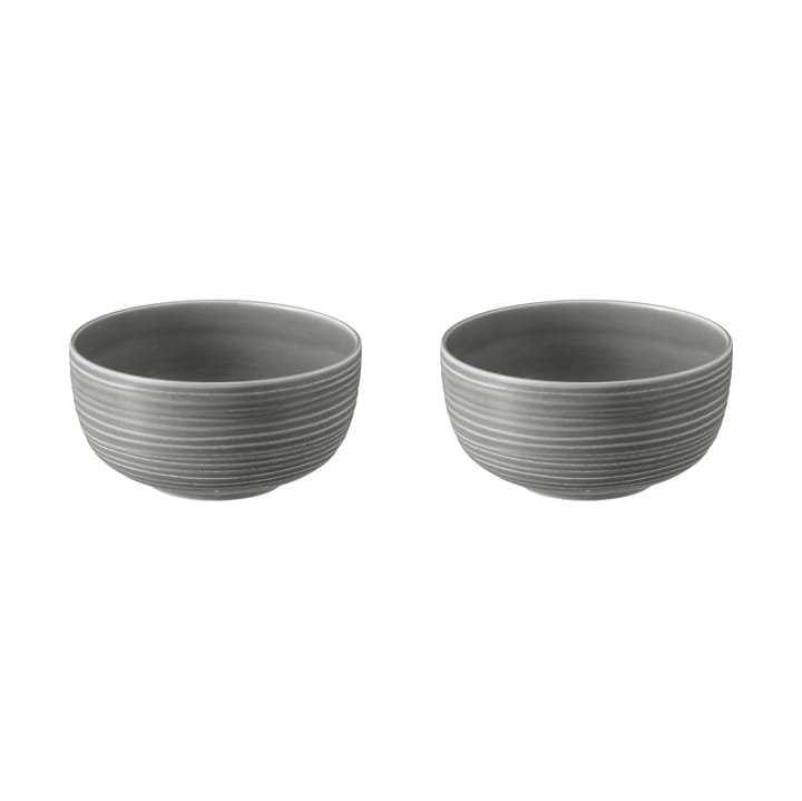��테라 보울 Ø17.7 cm 2개 세트 - Pearl Grey - Seltmann Weiden | 셀트만바이덴
