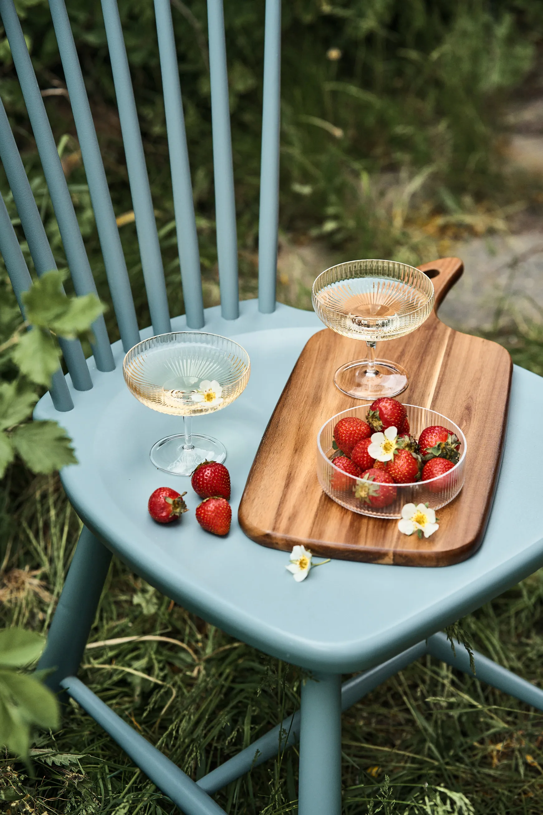 인쿠 샴페인 쿠페 글래스 15 cl, Clear Serax | 세락스