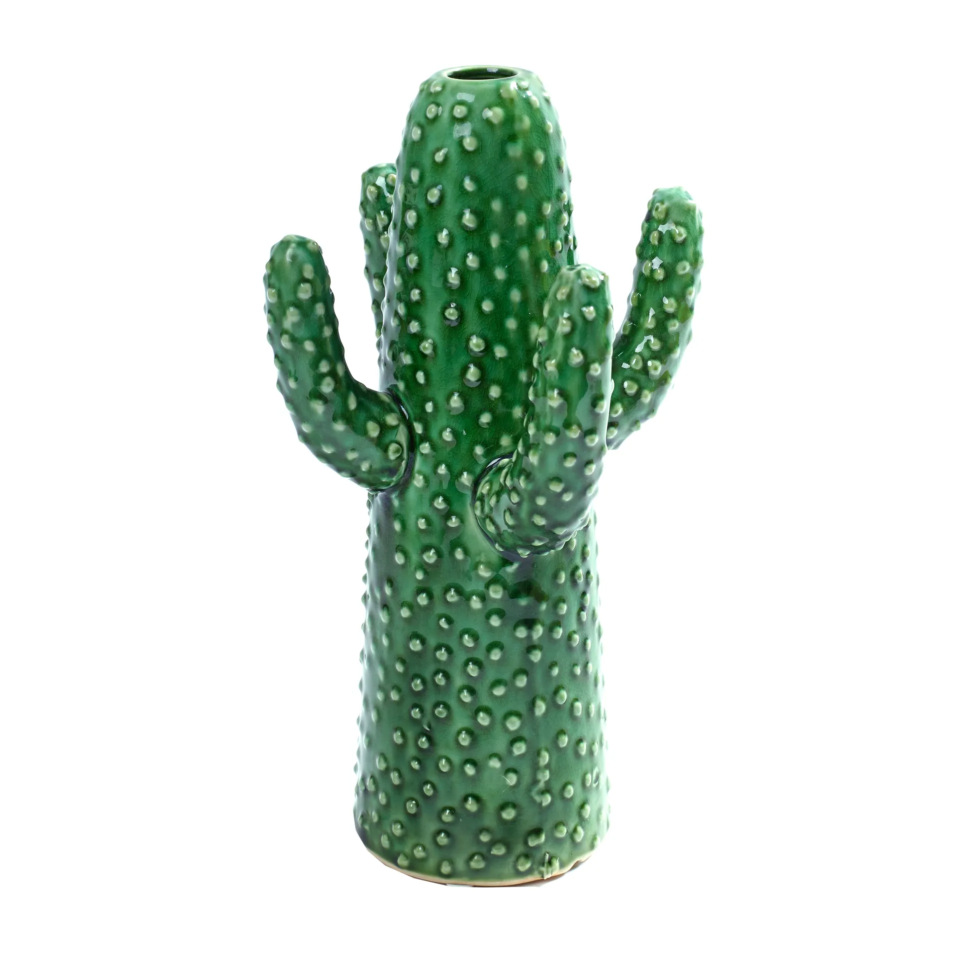 세롹스 cactus 화병, medium Serax | 세락스
