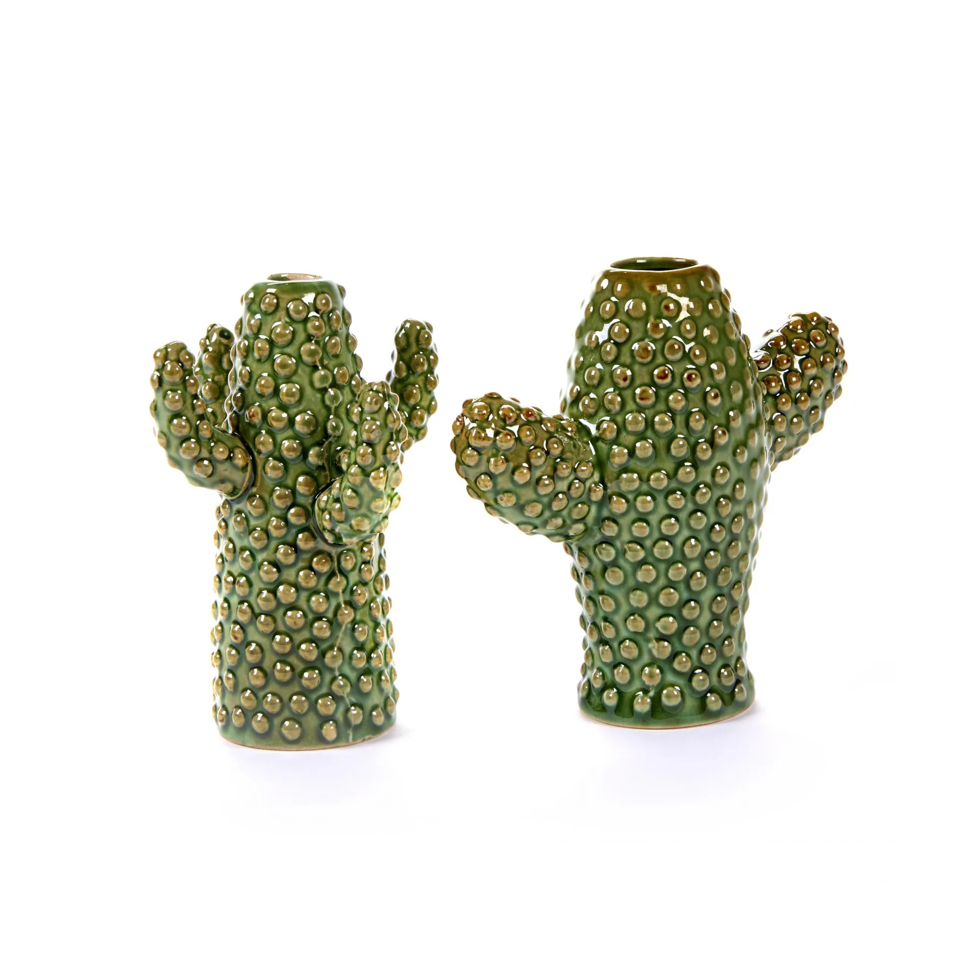 Serax cactus 화병 set mini Serax | 세락스