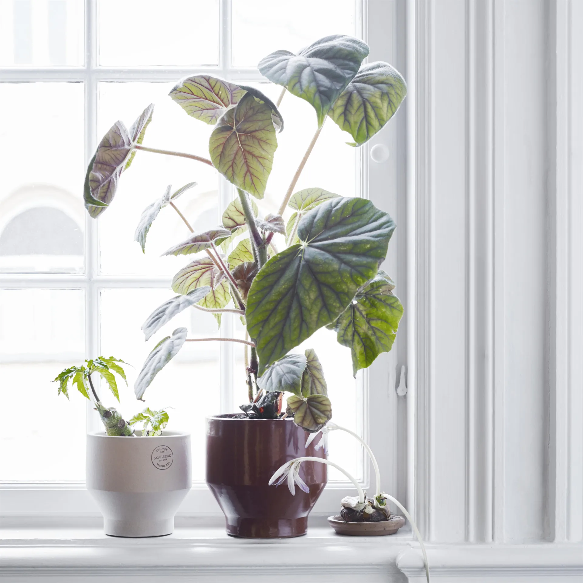 엣지 팟 (실내용) 18 cm, burned red Skagerak | 스카게락