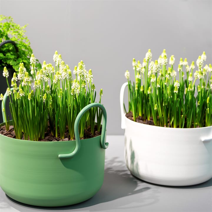 티볼리 플라워 팟 30 cm 로우, white SMD Design | SMD 디자인
