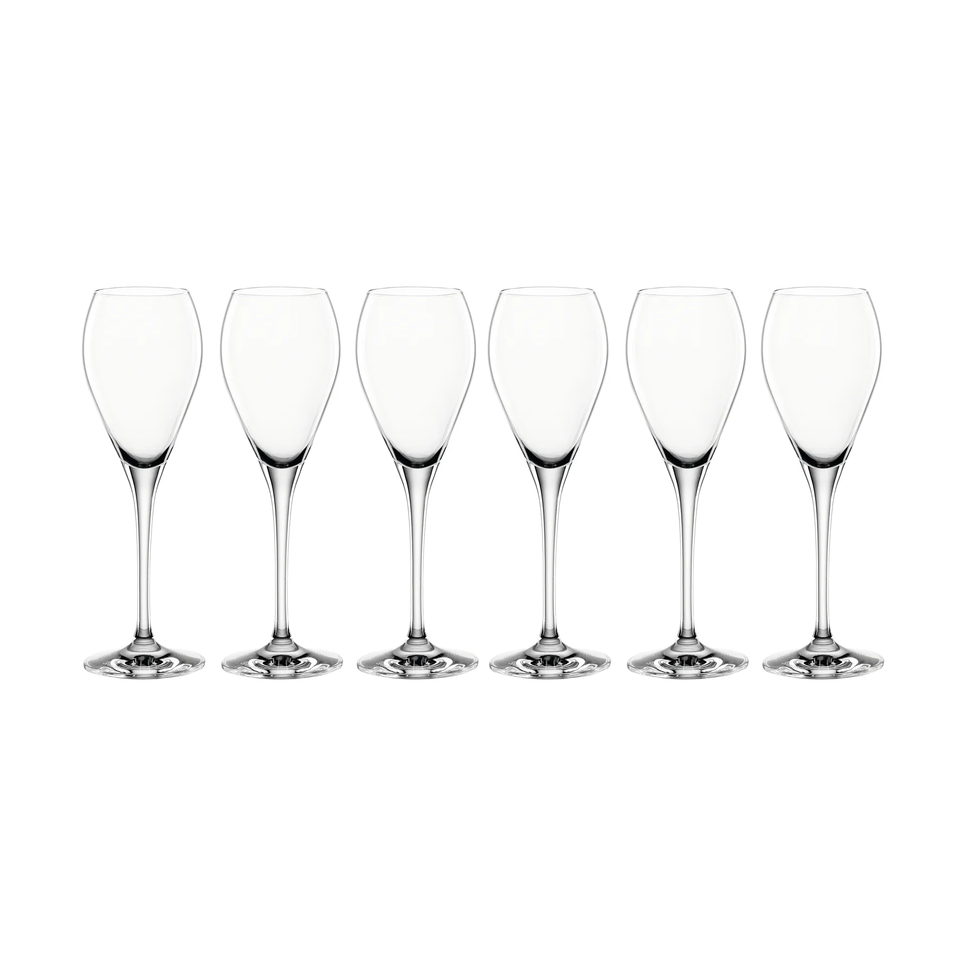 파티 샴페인잔 16 cl, 6-pack Spiegelau | 스피겔라우