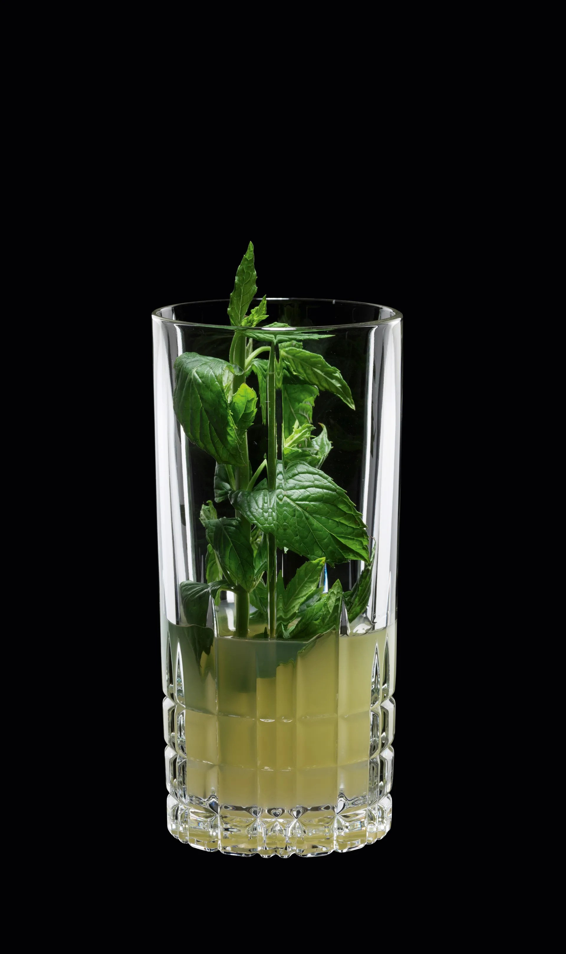 퍼펙트 서브 롱 유리컵 35cl 4개 세트, clear Spiegelau | 스피겔라우