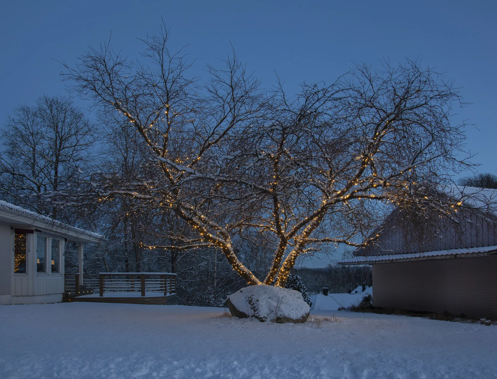 스타 트레이딩 시스템 LED 스타터 케이블, 180 cm Star Trading | 스타트레이딩