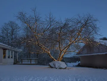 스타 트레이딩 시스템 LED 스타터 케이블 - 180 cm - Star Trading | 스타트레이딩