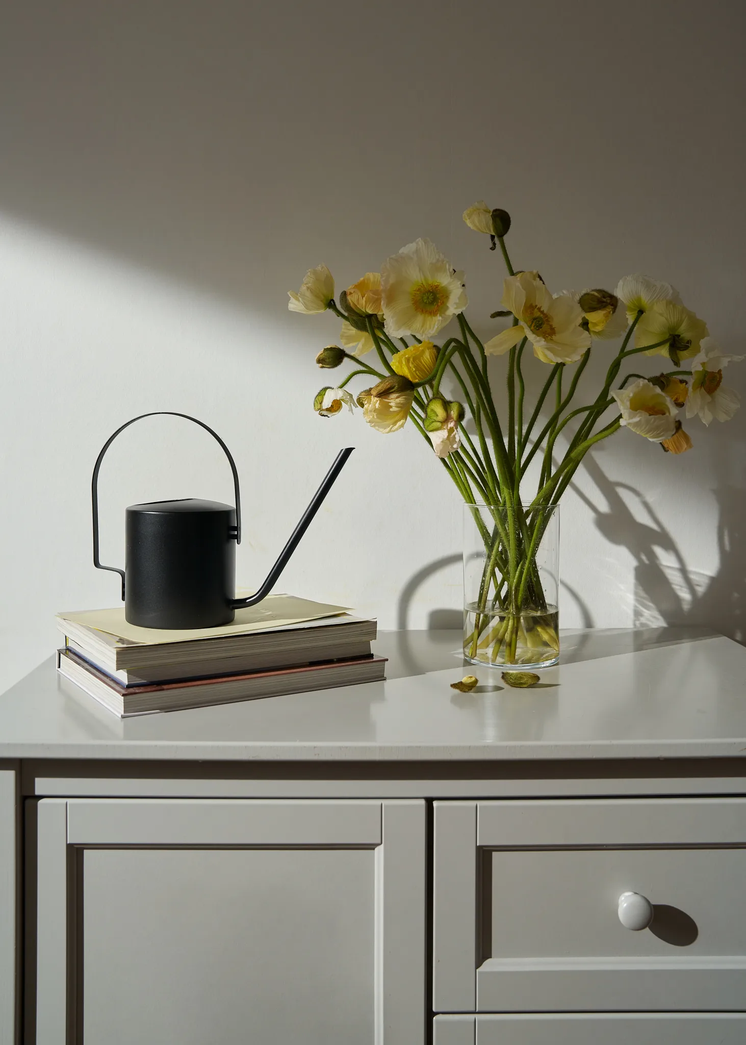 오리지널 물뿌리개 1.7 l, Soft black Stelton | 스텔톤