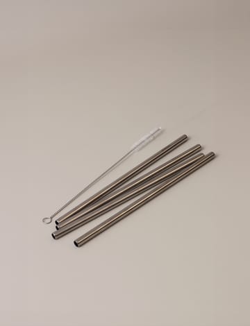 스텔톤 재사용 빨대 4개 세트 - Steel - Stelton | 스텔톤