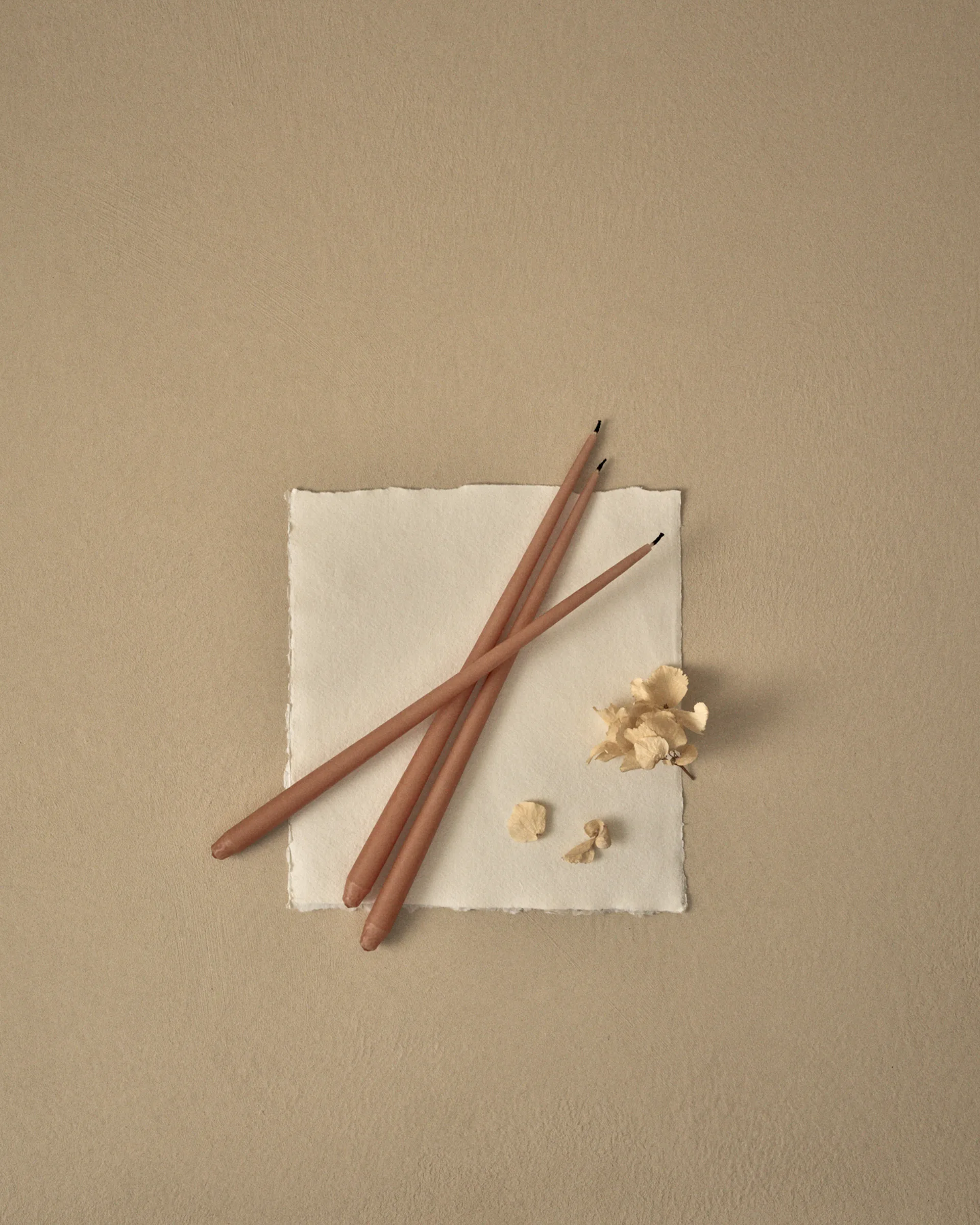 스토프 에스터 앤 에릭 테이퍼드 캔들 6개 세트, dusty rose Stoff | 스토프