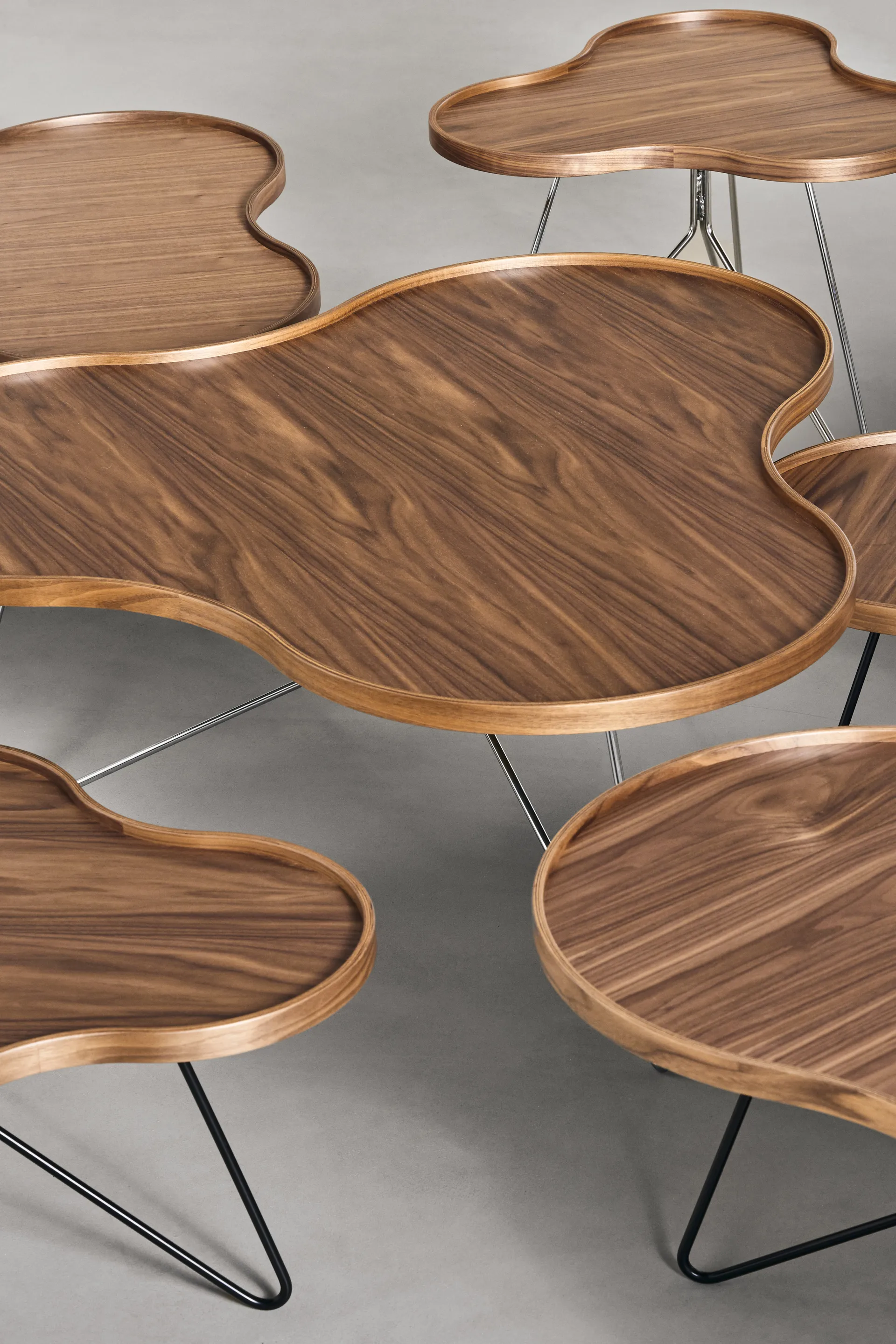 플라워 모노 테이블 스페셜 에디션 62x66 cm, H45 cm-lacquered walnut-chromed steel Swedese | 스웨데제