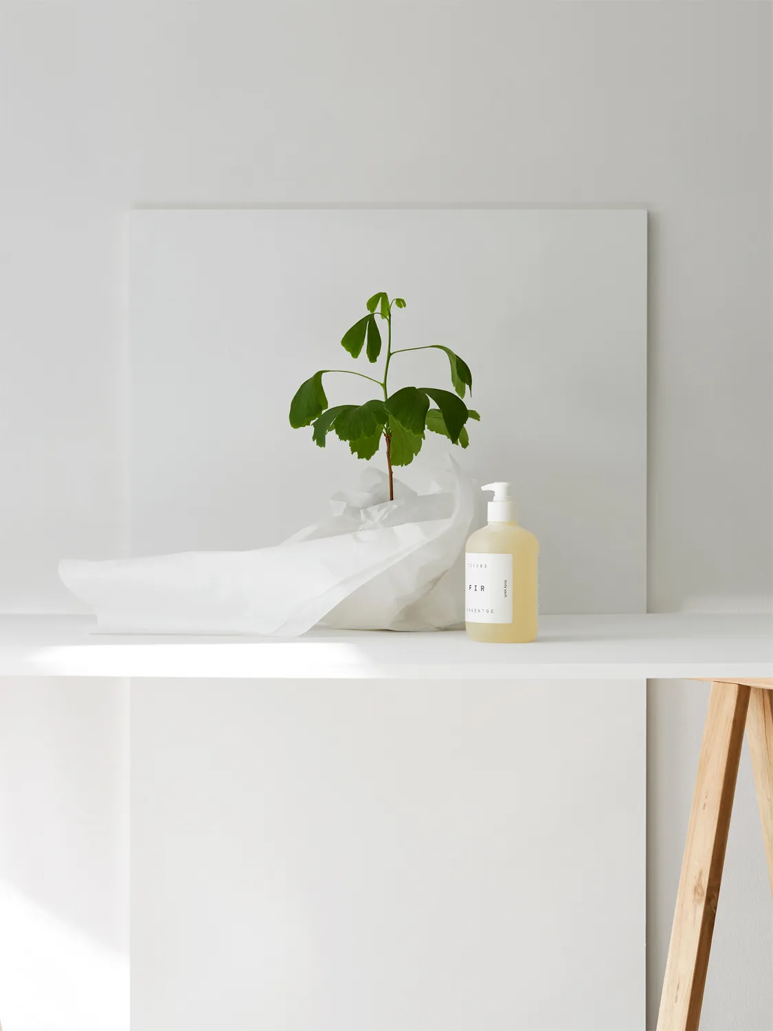 Fir 핸드 솝, 350 ml Tangent | 탄젠트