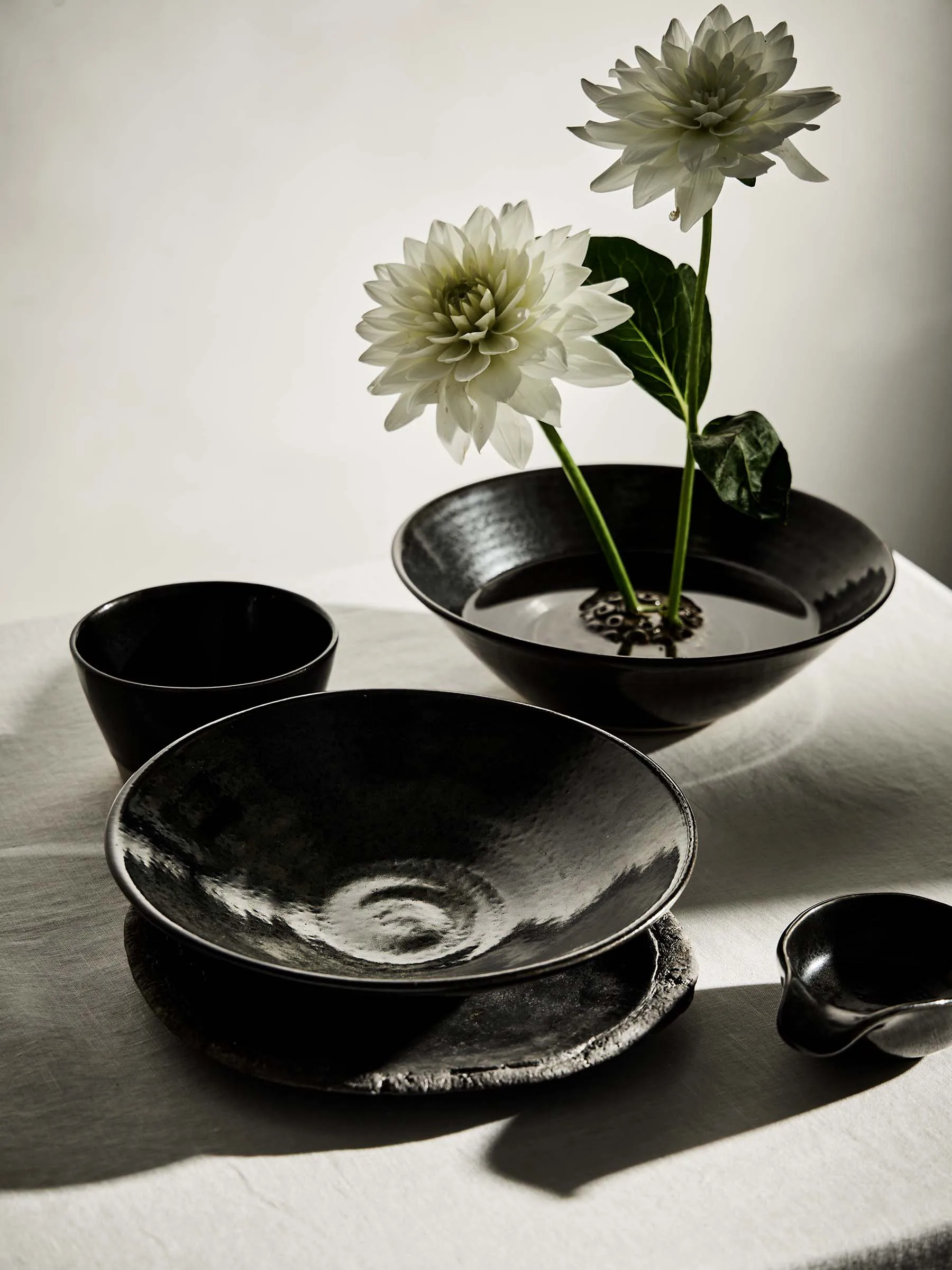 페닉스 ​​그릇 중형 50 cl, Brown-black Tell Me More | 텔미모어