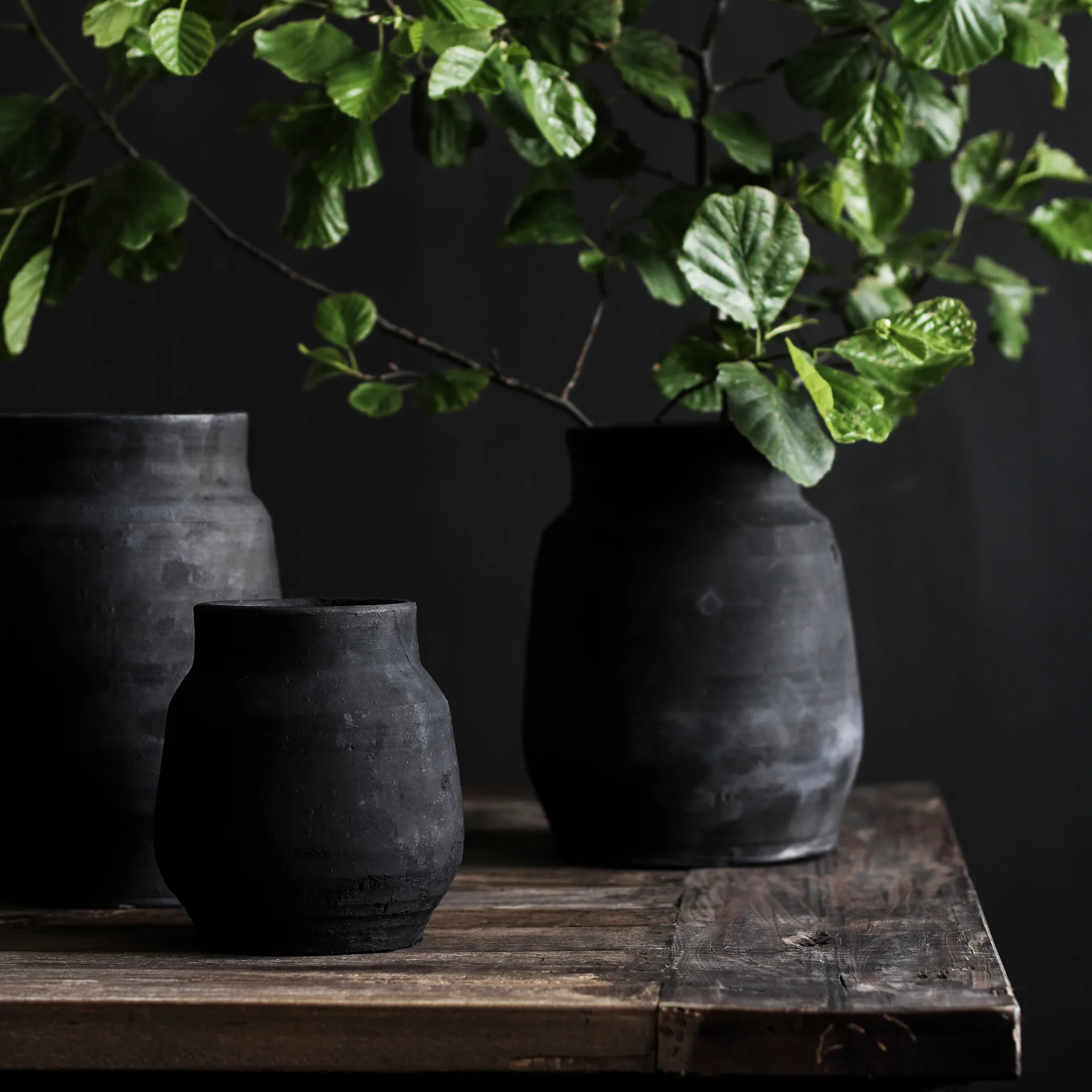 히어로 화분 L, Black Tell Me More | 텔미모어