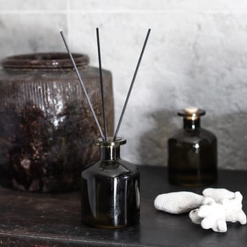 Noir 디퓨저 200 ml - Fig Tree - Tell Me More | 텔미모어
