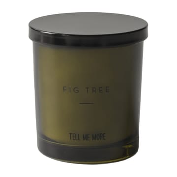 Noir 향초 50 시간 - Fig tree - Tell Me More | 텔미모어