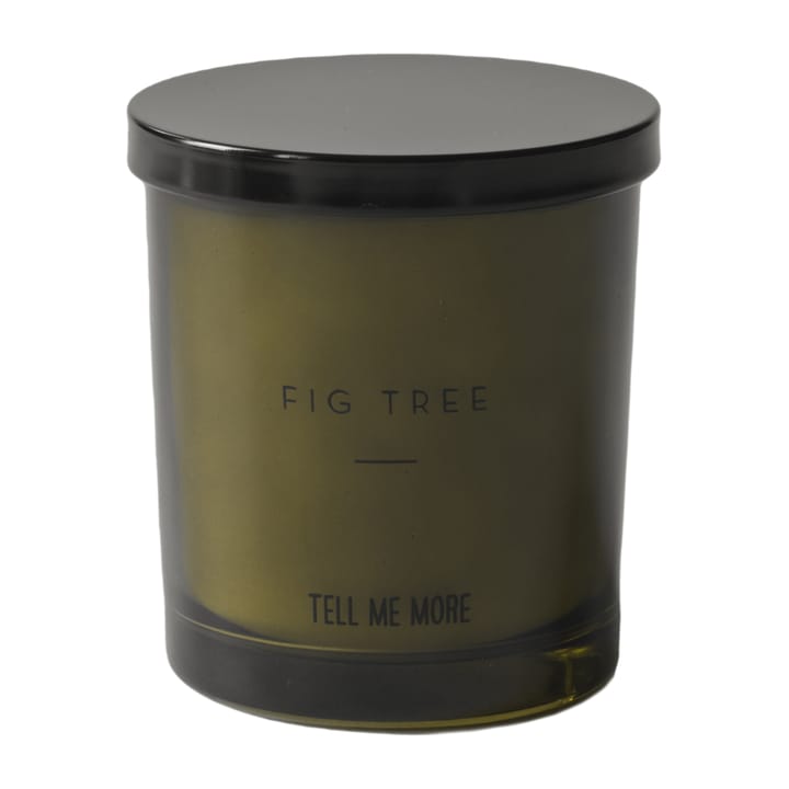 Noir 향초 50 시간, Fig tree Tell Me More | 텔미모어