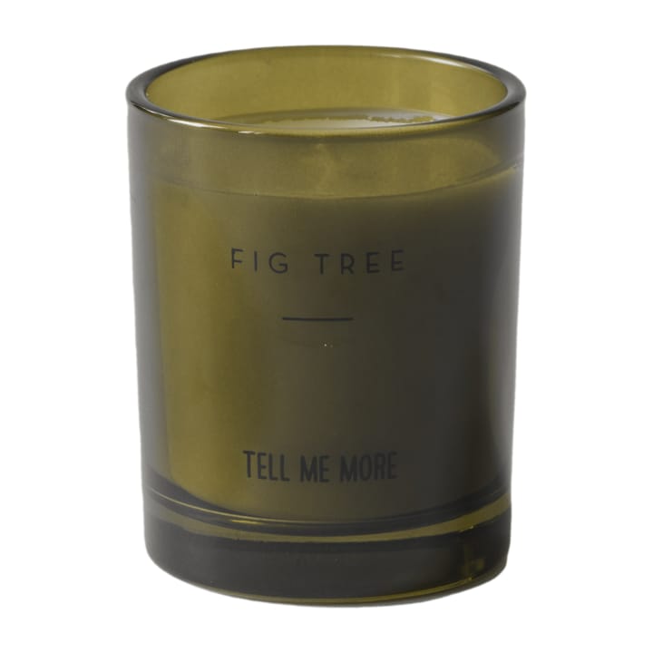 Noir 향초 S 25 시간, Fig tree Tell Me More | 텔미모어